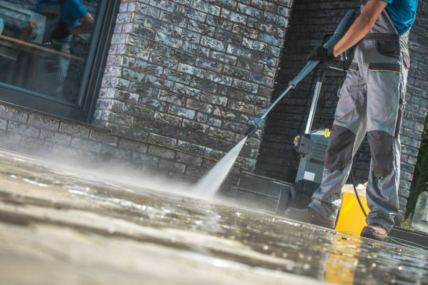 Best Animal Enclosure Cleaning  in Running Springs, CA